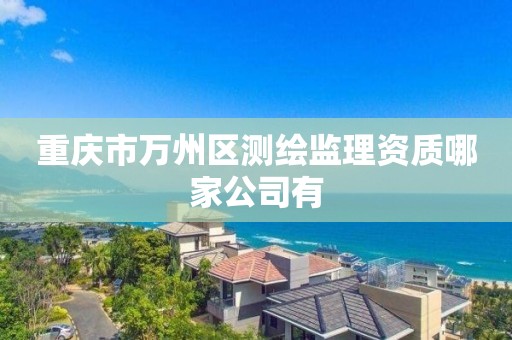 重慶市萬州區測繪監理資質哪家公司有