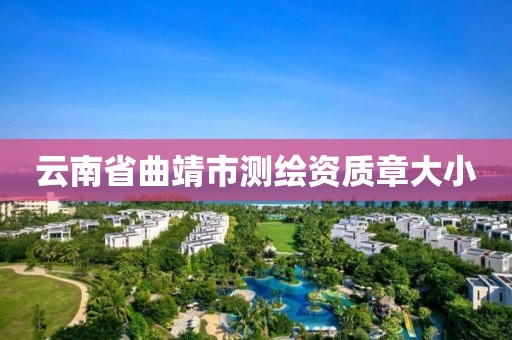 云南省曲靖市測繪資質章大小