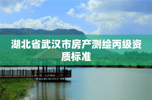 湖北省武漢市房產測繪丙級資質標準