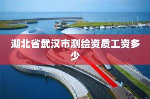 湖北省武漢市測繪資質工資多少