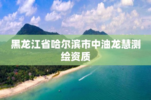 黑龍江省哈爾濱市中油龍慧測繪資質(zhì)