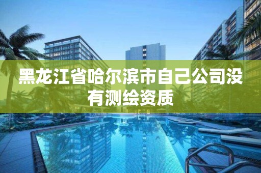 黑龍江省哈爾濱市自己公司沒有測繪資質