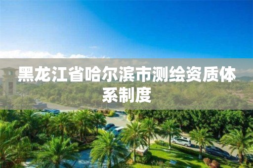 黑龍江省哈爾濱市測繪資質體系制度