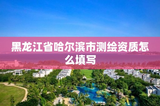 黑龍江省哈爾濱市測繪資質怎么填寫