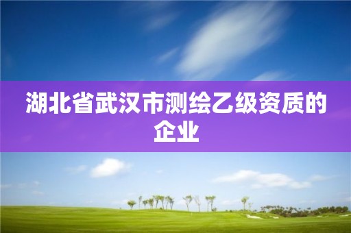 湖北省武漢市測繪乙級資質的企業