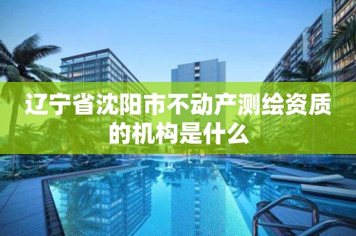 遼寧省沈陽市不動產測繪資質的機構是什么