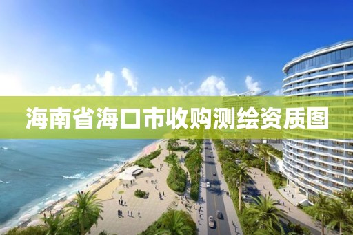 海南省海口市收購測繪資質(zhì)圖