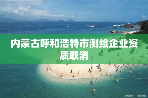 內蒙古呼和浩特市測繪企業資質取消