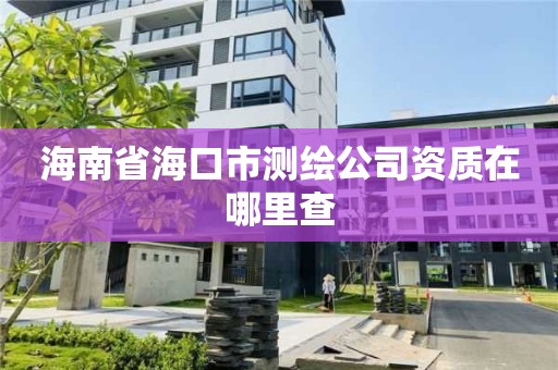 海南省海口市測繪公司資質(zhì)在哪里查