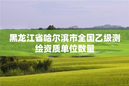 黑龍江省哈爾濱市全國乙級測繪資質單位數量