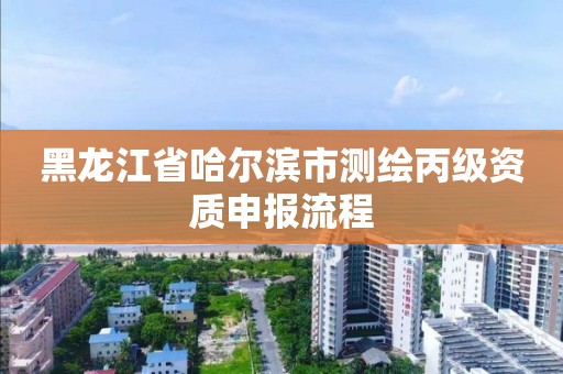 黑龍江省哈爾濱市測繪丙級資質(zhì)申報流程