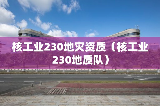 核工業230地災資質（核工業230地質隊）