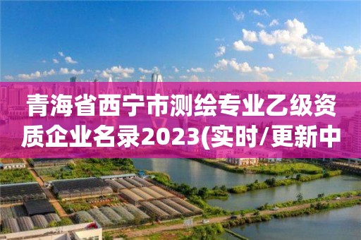 青海省西寧市測繪專業(yè)乙級(jí)資質(zhì)企業(yè)名錄2023(實(shí)時(shí)/更新中)