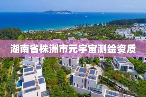 湖南省株洲市元宇宙測繪資質