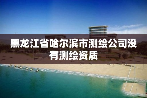 黑龍江省哈爾濱市測繪公司沒有測繪資質(zhì)