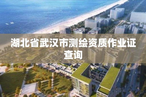 湖北省武漢市測繪資質作業證查詢