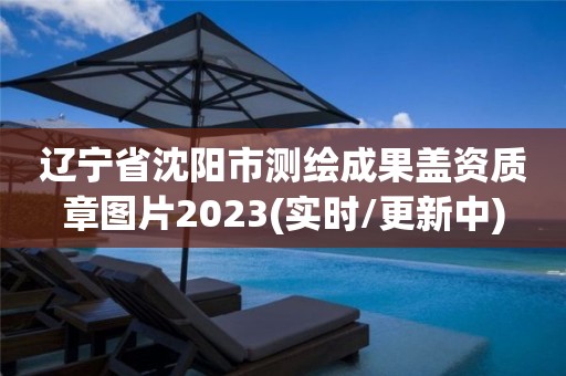 遼寧省沈陽市測繪成果蓋資質(zhì)章圖片2023(實時/更新中)