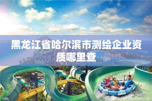 黑龍江省哈爾濱市測繪企業(yè)資質(zhì)哪里查