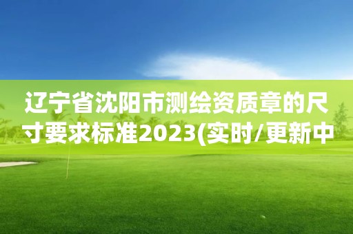 遼寧省沈陽市測繪資質章的尺寸要求標準2023(實時/更新中)