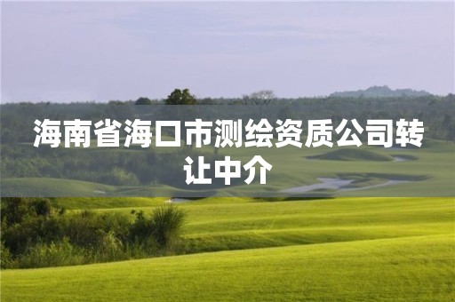 海南省海口市測(cè)繪資質(zhì)公司轉(zhuǎn)讓中介