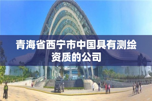 青海省西寧市中國具有測繪資質的公司