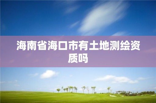 海南省?？谑杏型恋販y繪資質嗎