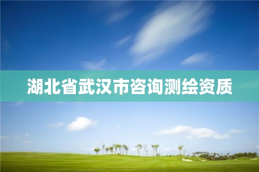 湖北省武漢市咨詢測繪資質