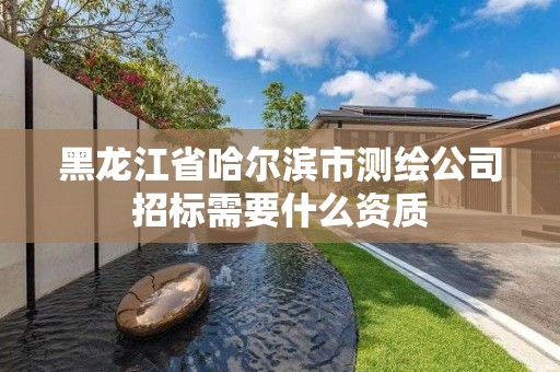 黑龍江省哈爾濱市測繪公司招標需要什么資質