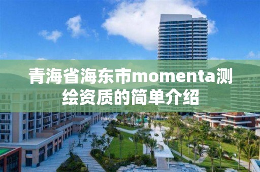 青海省海東市momenta測繪資質的簡單介紹