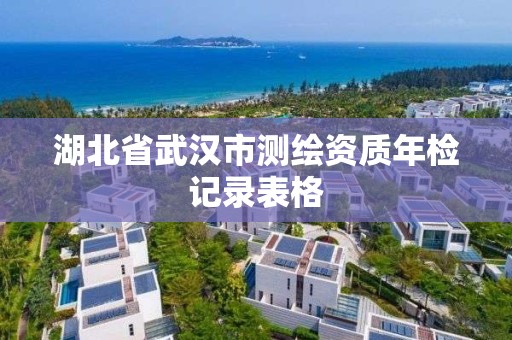 湖北省武漢市測繪資質(zhì)年檢記錄表格