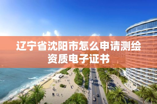 遼寧省沈陽市怎么申請測繪資質電子證書