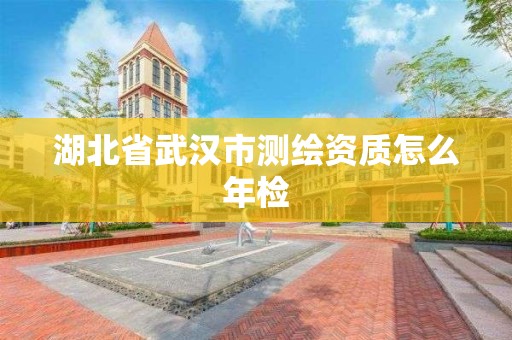 湖北省武漢市測繪資質怎么年檢