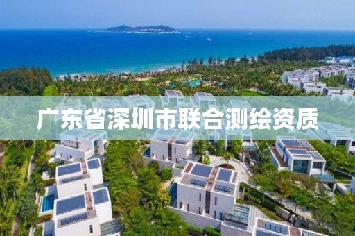 廣東省深圳市聯合測繪資質