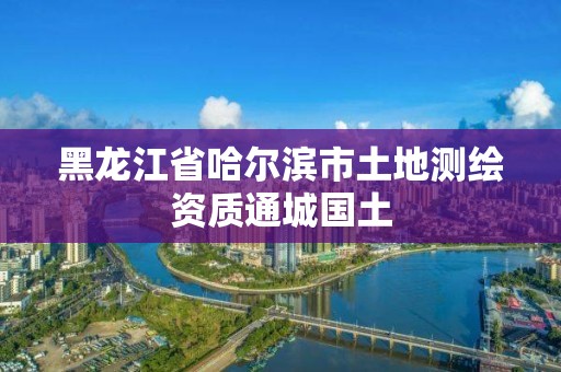 黑龍江省哈爾濱市土地測繪資質通城國土