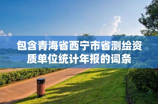 包含青海省西寧市省測繪資質單位統計年報的詞條