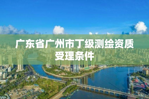 廣東省廣州市丁級測繪資質受理條件