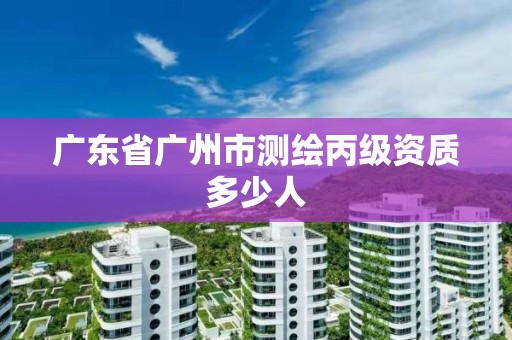 廣東省廣州市測繪丙級資質多少人