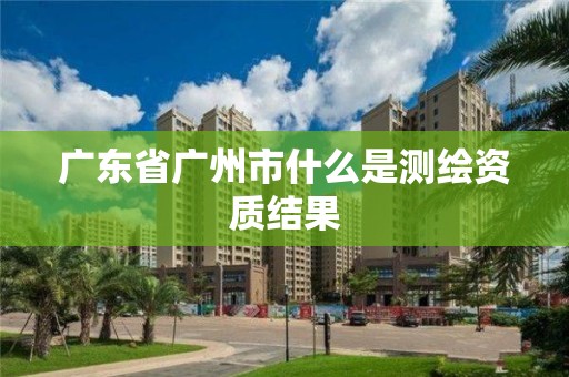 廣東省廣州市什么是測繪資質結果