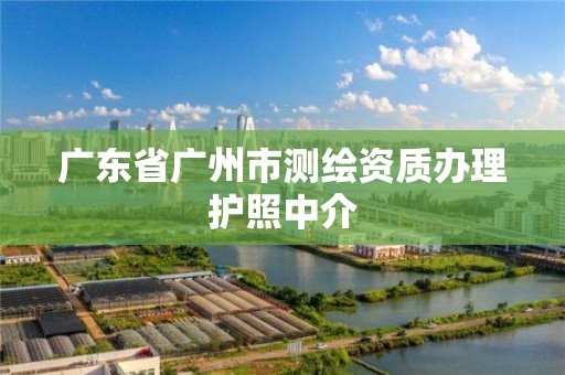 廣東省廣州市測繪資質辦理護照中介