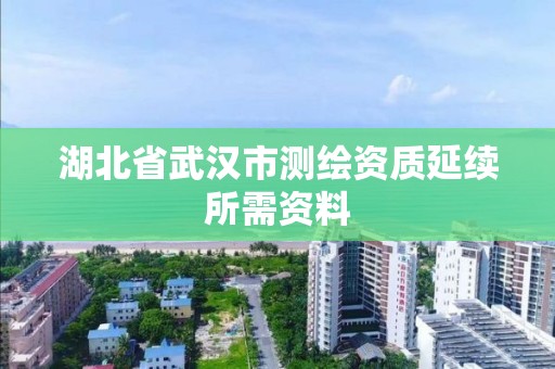 湖北省武漢市測繪資質延續所需資料