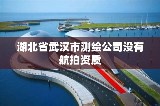 湖北省武漢市測繪公司沒有航拍資質