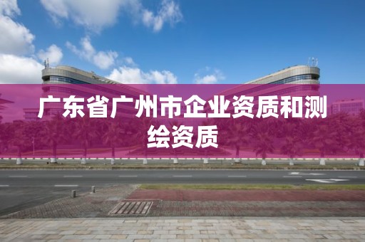 廣東省廣州市企業(yè)資質(zhì)和測繪資質(zhì)