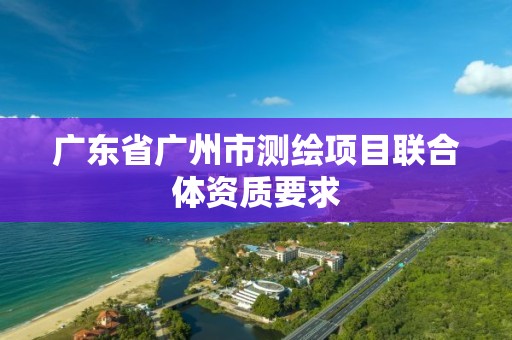 廣東省廣州市測繪項目聯合體資質要求