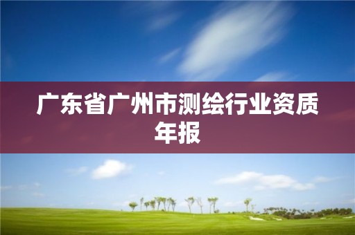 廣東省廣州市測繪行業(yè)資質年報