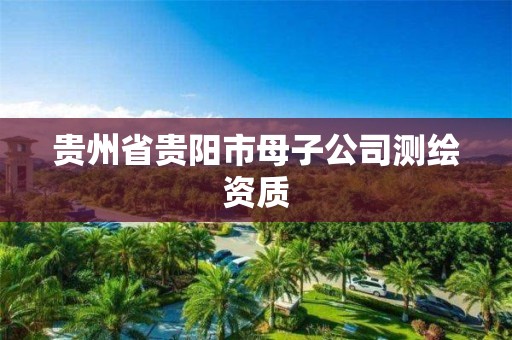 貴州省貴陽市母子公司測繪資質