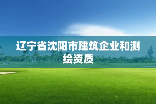 遼寧省沈陽(yáng)市建筑企業(yè)和測(cè)繪資質(zhì)