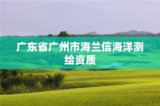 廣東省廣州市海蘭信海洋測繪資質