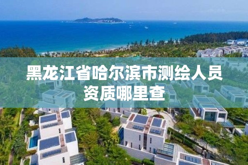 黑龍江省哈爾濱市測繪人員資質(zhì)哪里查