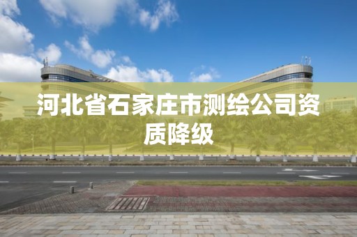 河北省石家莊市測繪公司資質降級