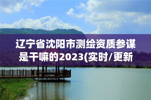 遼寧省沈陽市測繪資質(zhì)參謀是干嘛的2023(實時/更新中)